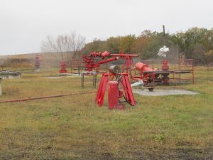 img_1289